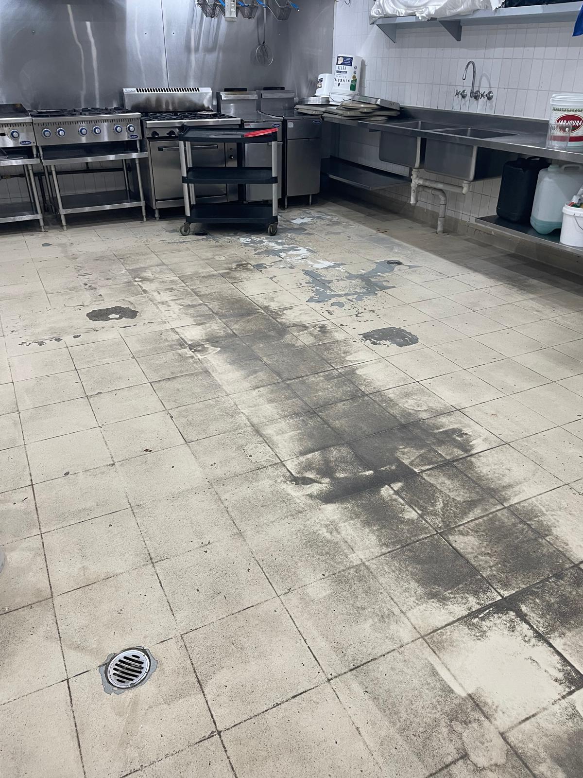 Edessa kitchen floor before epoxy